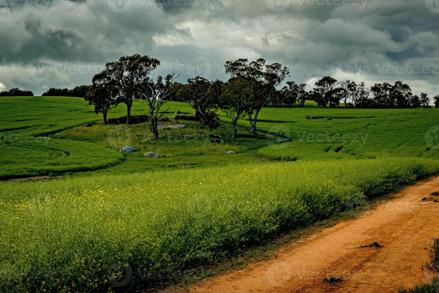 Rural Splendor One photo