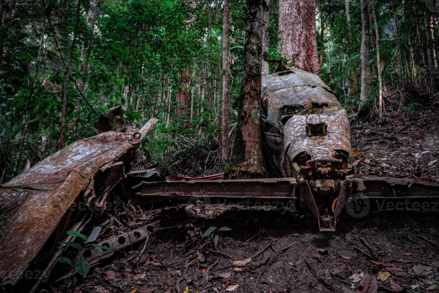Wartime Relic Abandoned in Nature photo