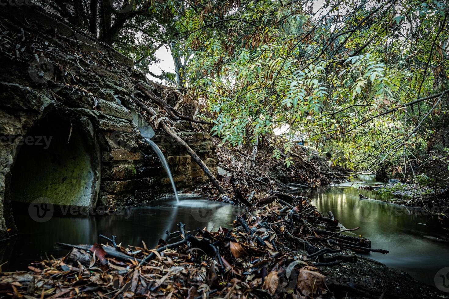 Hidden Urban Spring photo