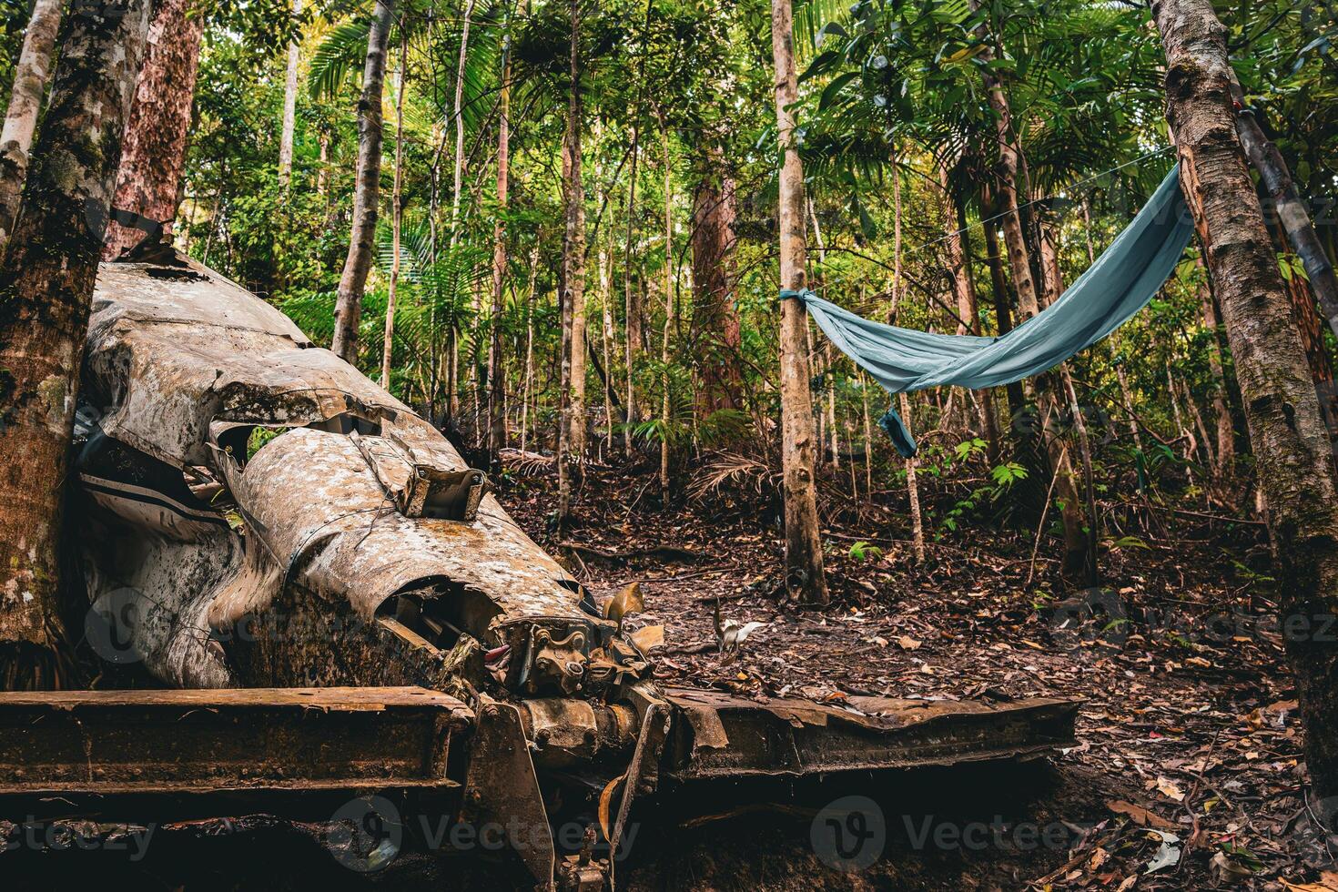Hammock Haven in the Jungle photo