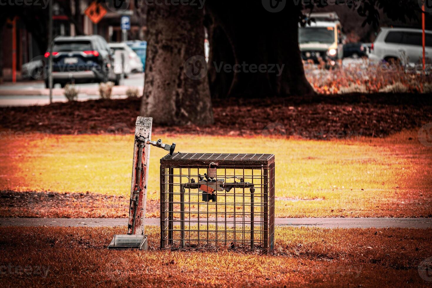 Urban Wildlife Trap photo