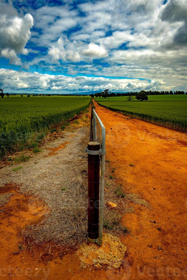 Rural Pathway to the Sky photo
