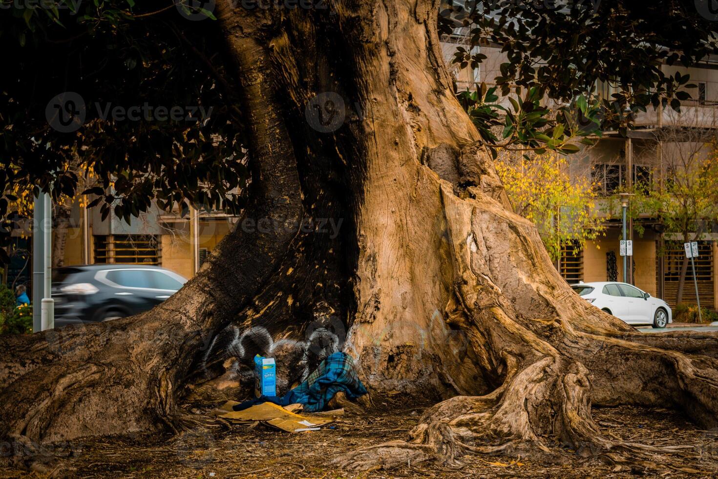 Urban Solitude One photo