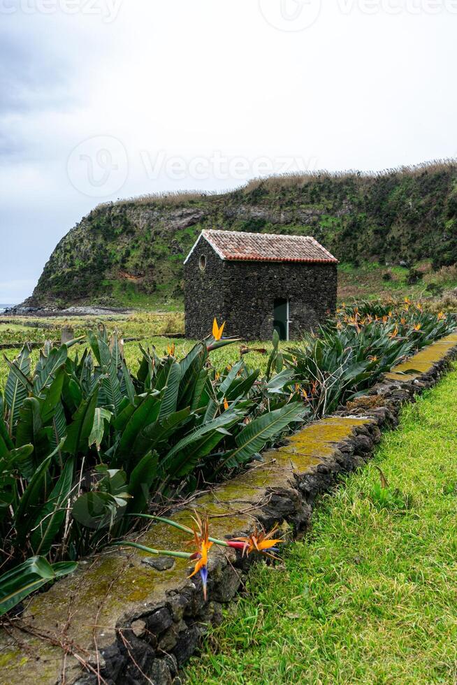 A typical Azorean house built with volcanic black rock amidst a plantation of bird-of-paradise flowers. photo