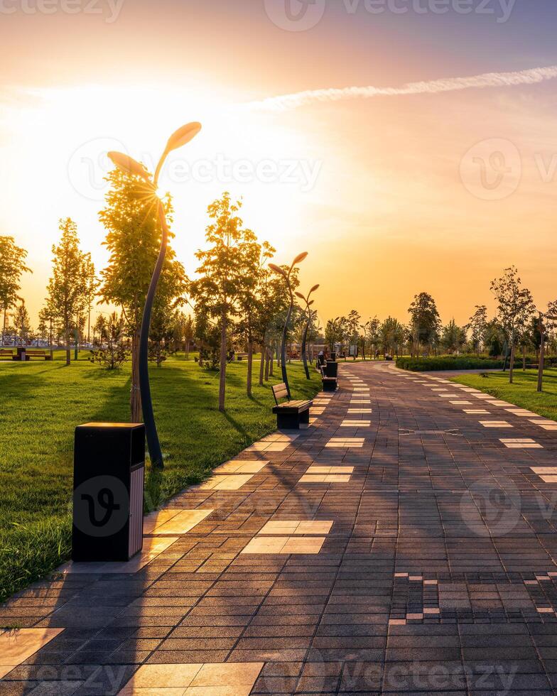 City park in summer with pavement, lanterns, young green lawn, trees and cloudy sky on a sunset or sunrise. photo