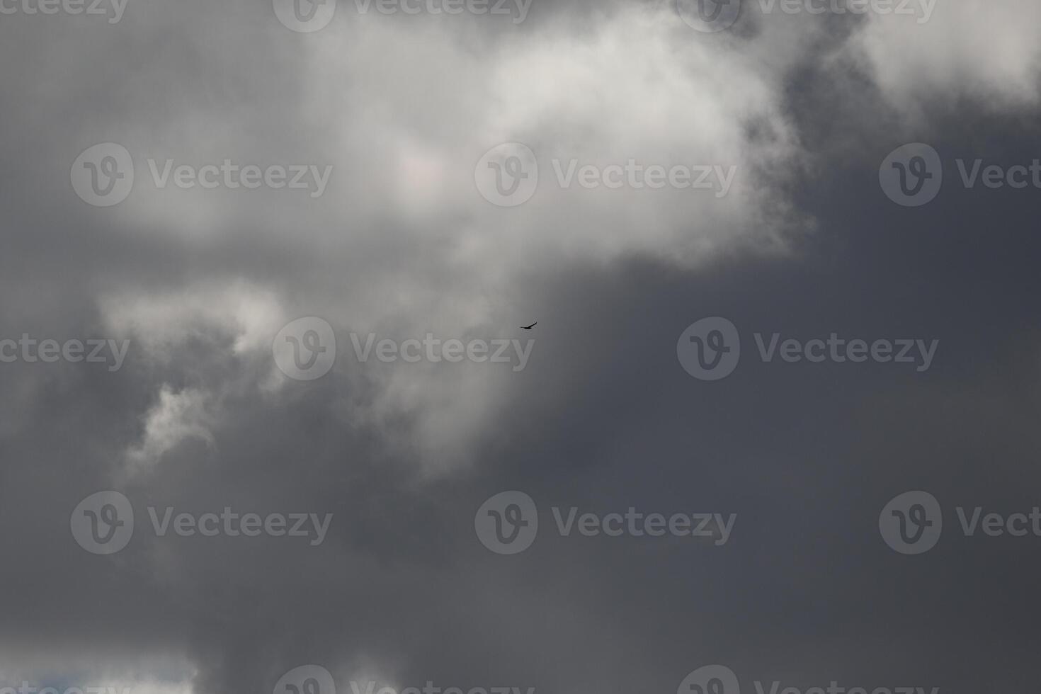 Cloudscape scenery, overcast weather above dark blue sky. Storm clouds floating in a rainy dull day with natural light. White and grey scenic environment background. Nature view. photo