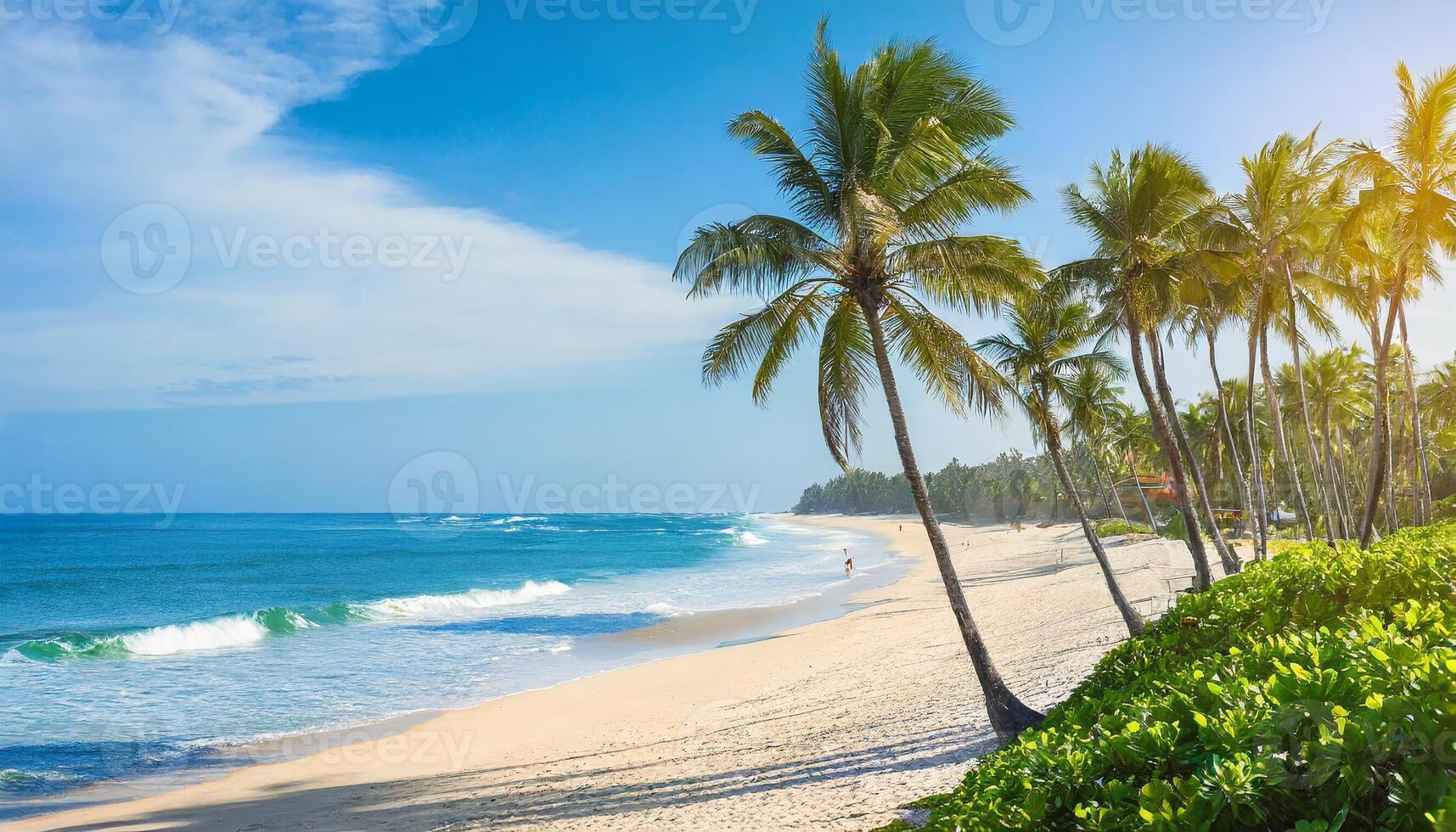 Tropical beach, ocean shore, palms, blue sea, vacation concept photo