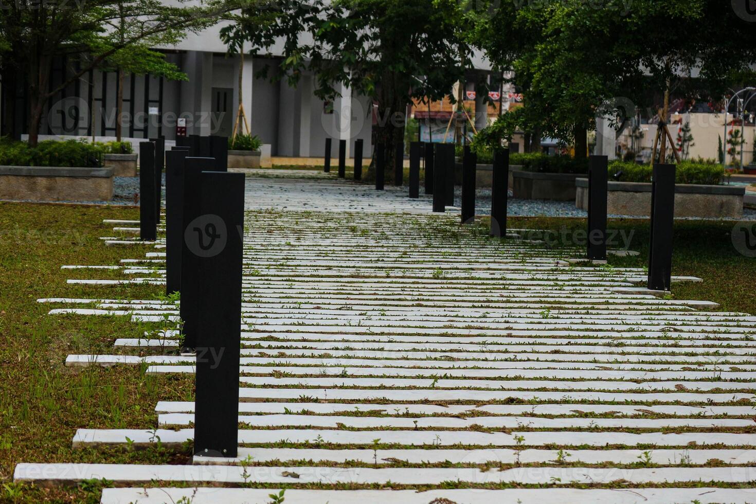 Pedestrian path in a park. photo