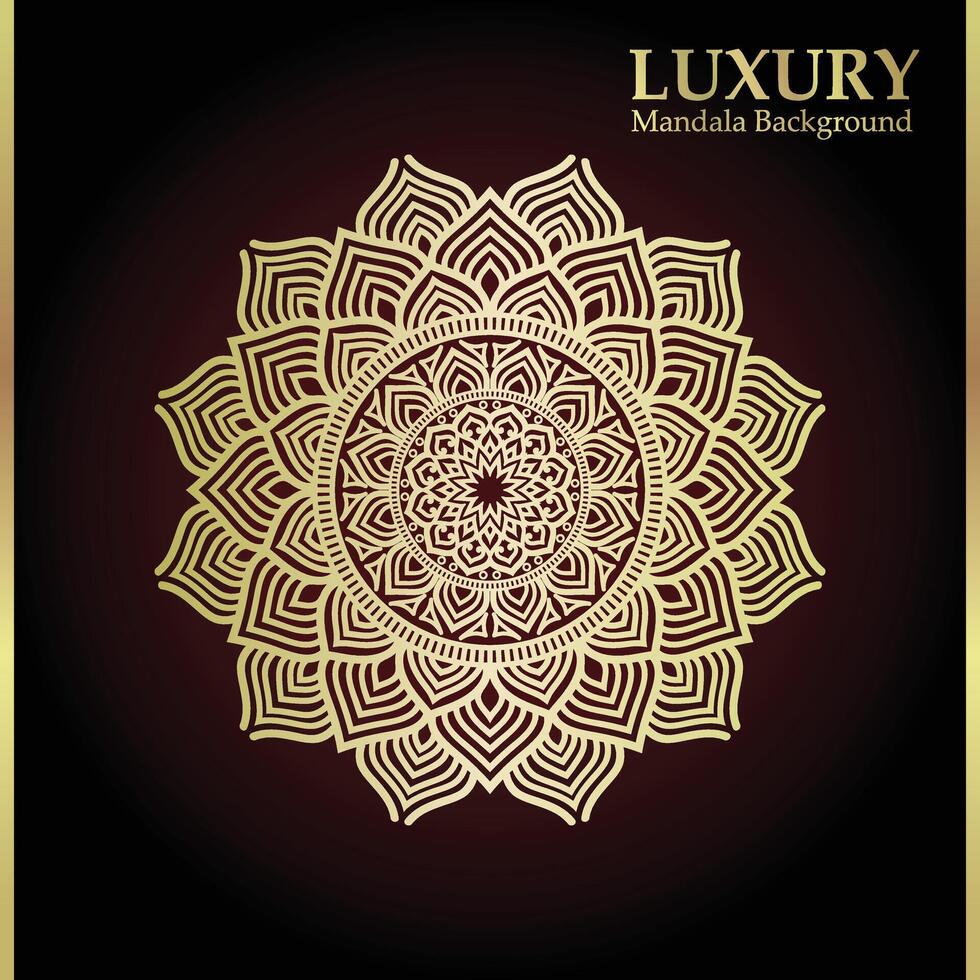 Creative luxury ornamental mandala pattern drawing art design vector