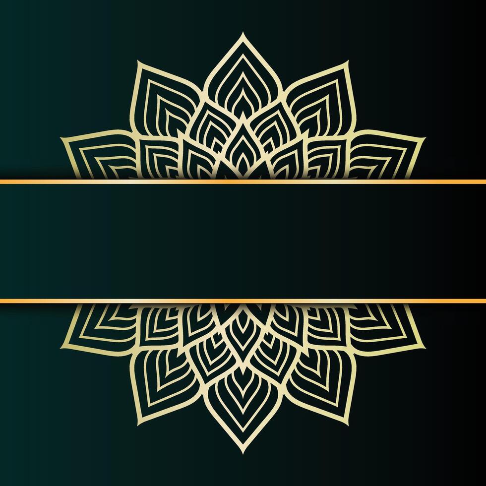 Creative luxury ornamental mandala pattern sketch art design vector