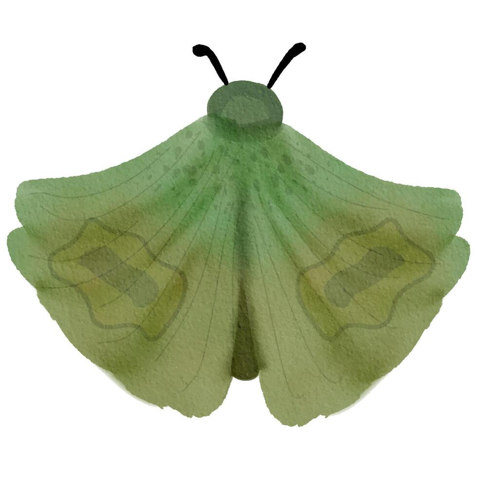 cute little moths vector