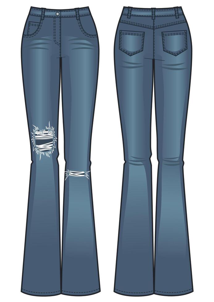 flared jeans isolated, front and back vector