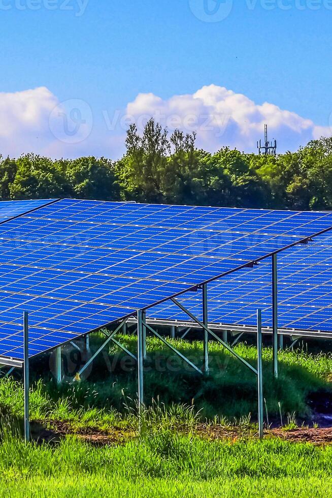 Generating clean energy with solar modules in a big park in nort photo