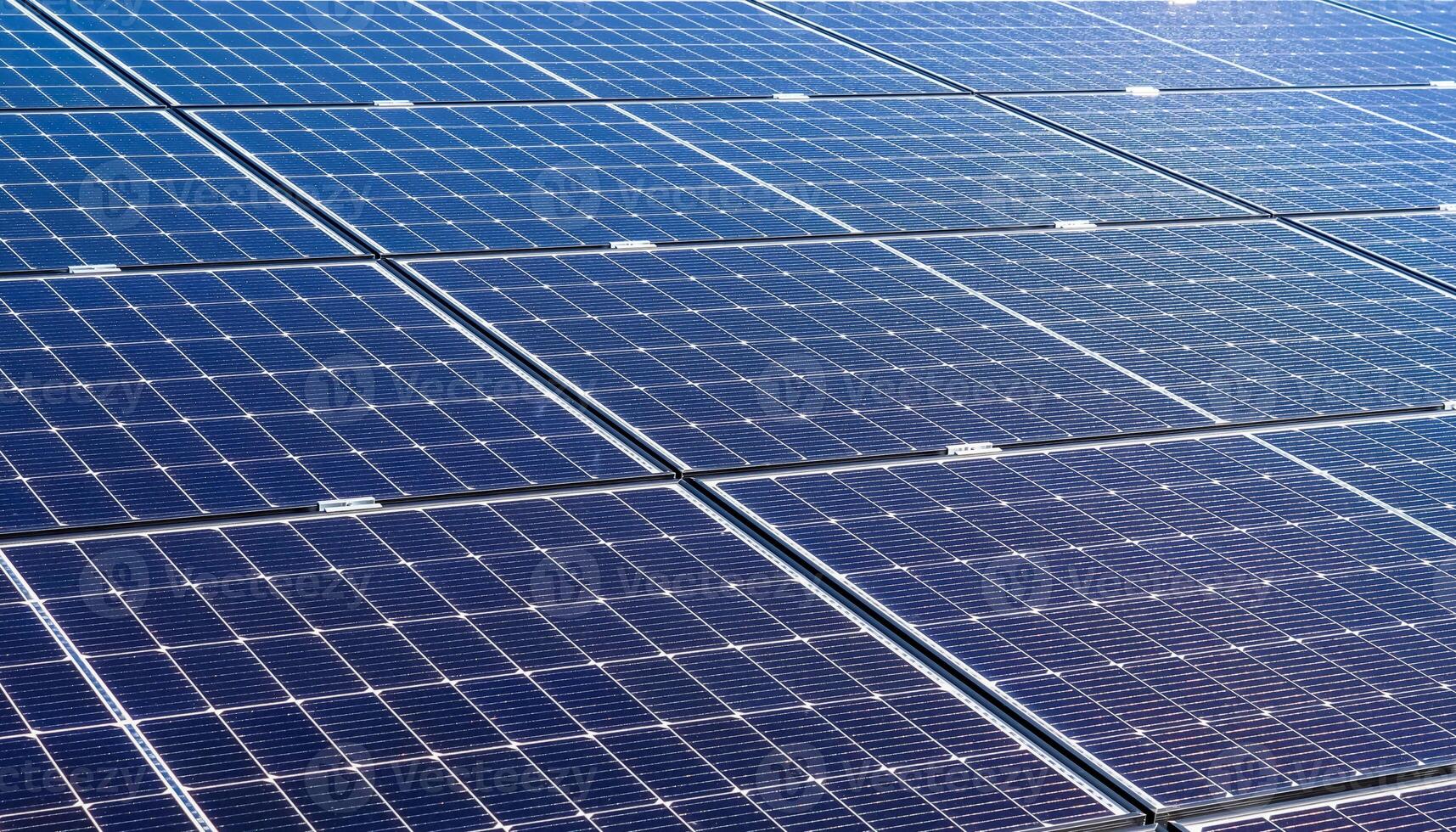 Generating clean energy with solar modules in a big park in nort photo