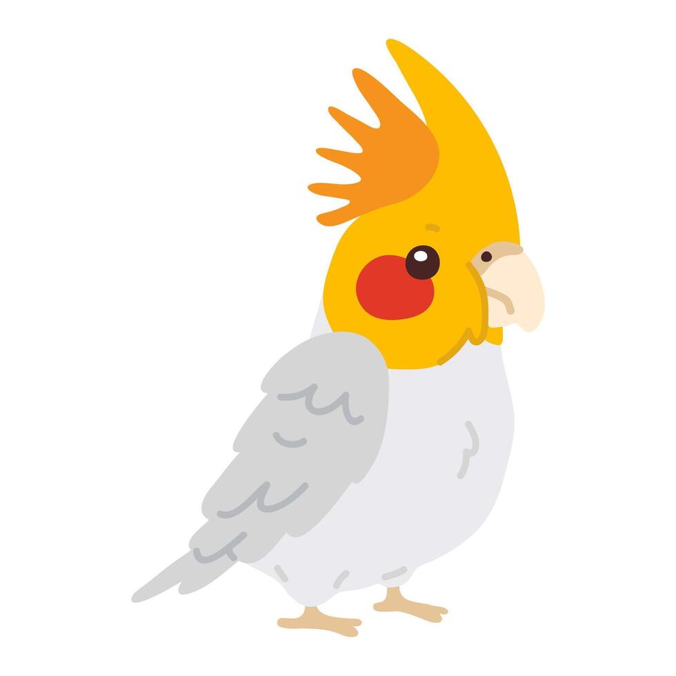 doodle cockatiel parrot vector