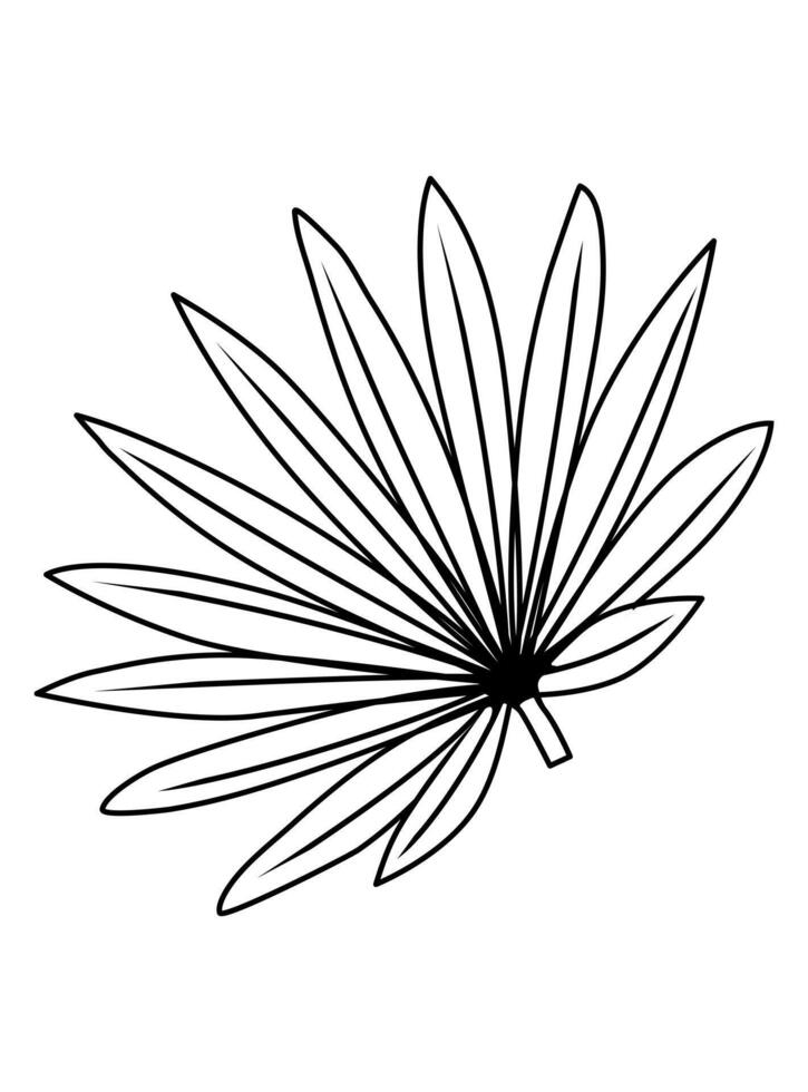 Hand drawn brunch with palm leaves. Doodle illustration. Isolated icon on the white background. vector