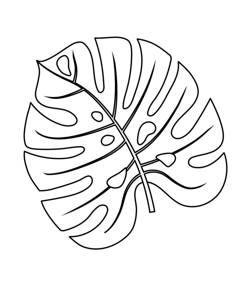 Hand drawn monstera leaf. Doodle illustration. Isolated icon on the white background. vector