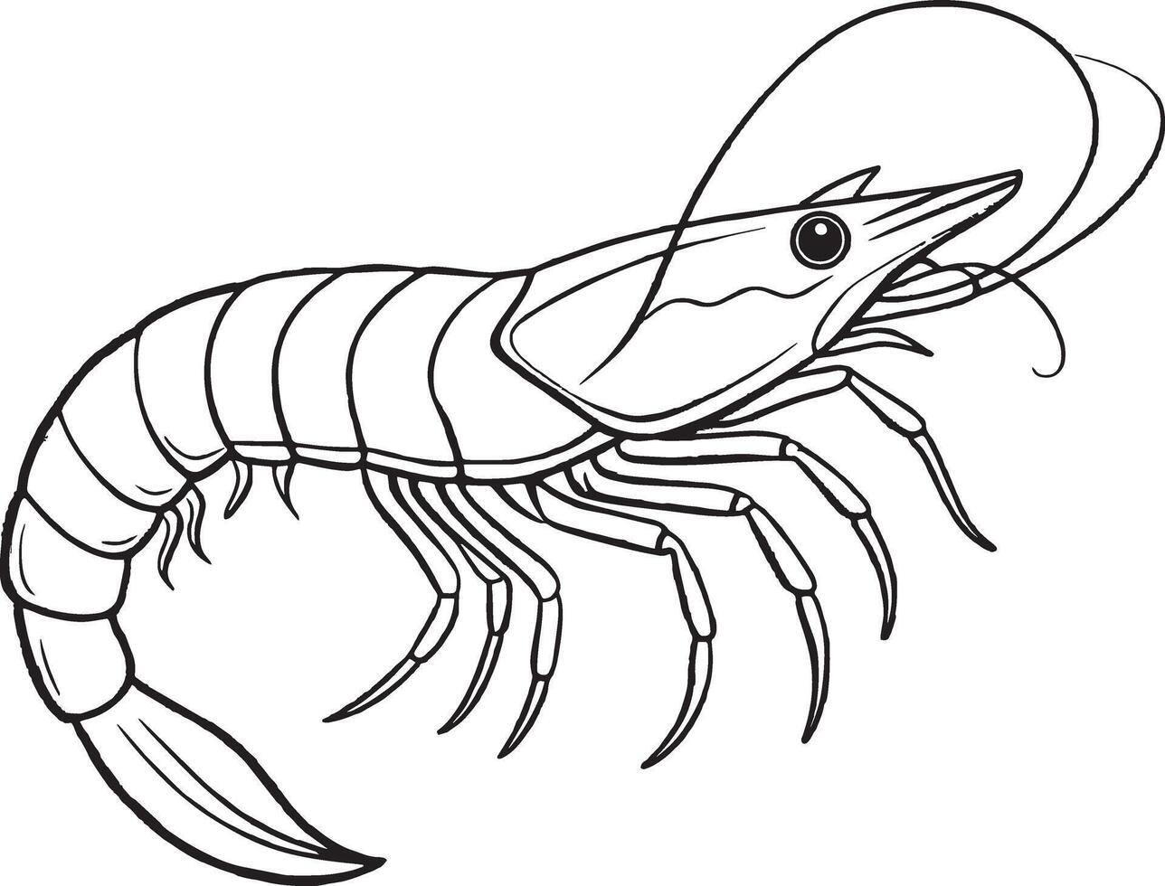 Black and White Cartoon Illustration of Crayfish or Shrimp for Coloring Book vector