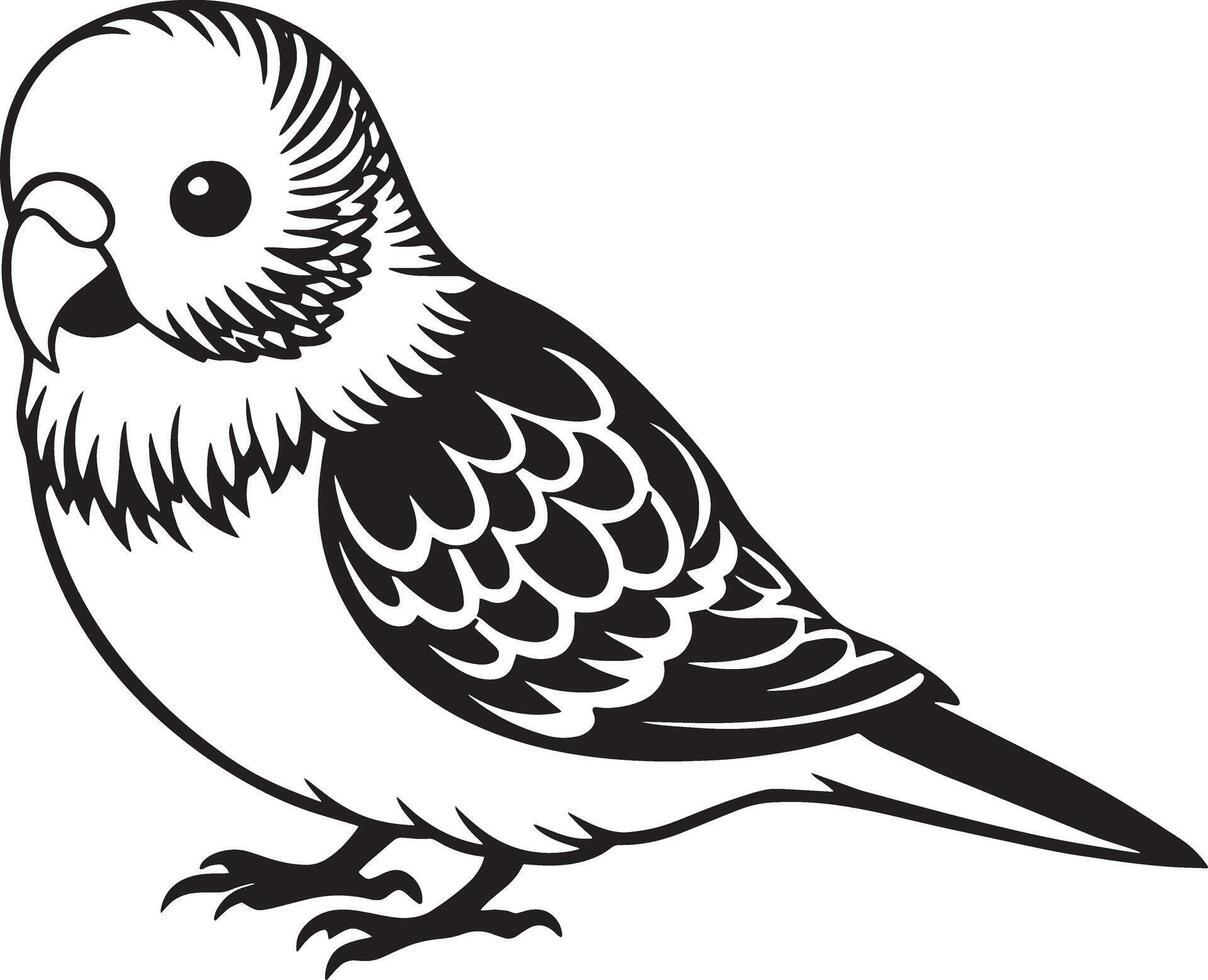 Budgerigar, black and white illustration isolated on white background vector