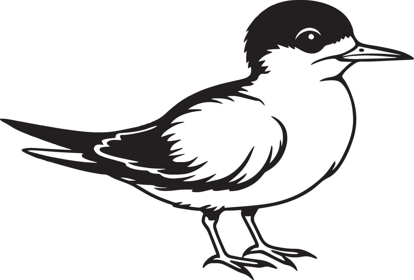 golondrina de mar pájaro - negro y blanco ilustración para tatuaje o camiseta diseño vector