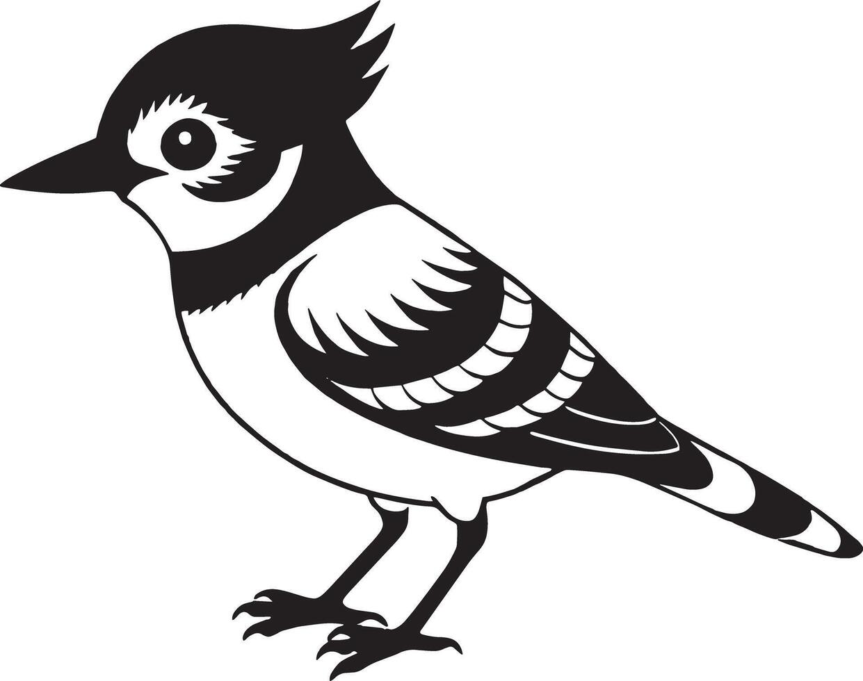 Cute Crested Titmouse bird isolated on white background. Black and white illustration. vector