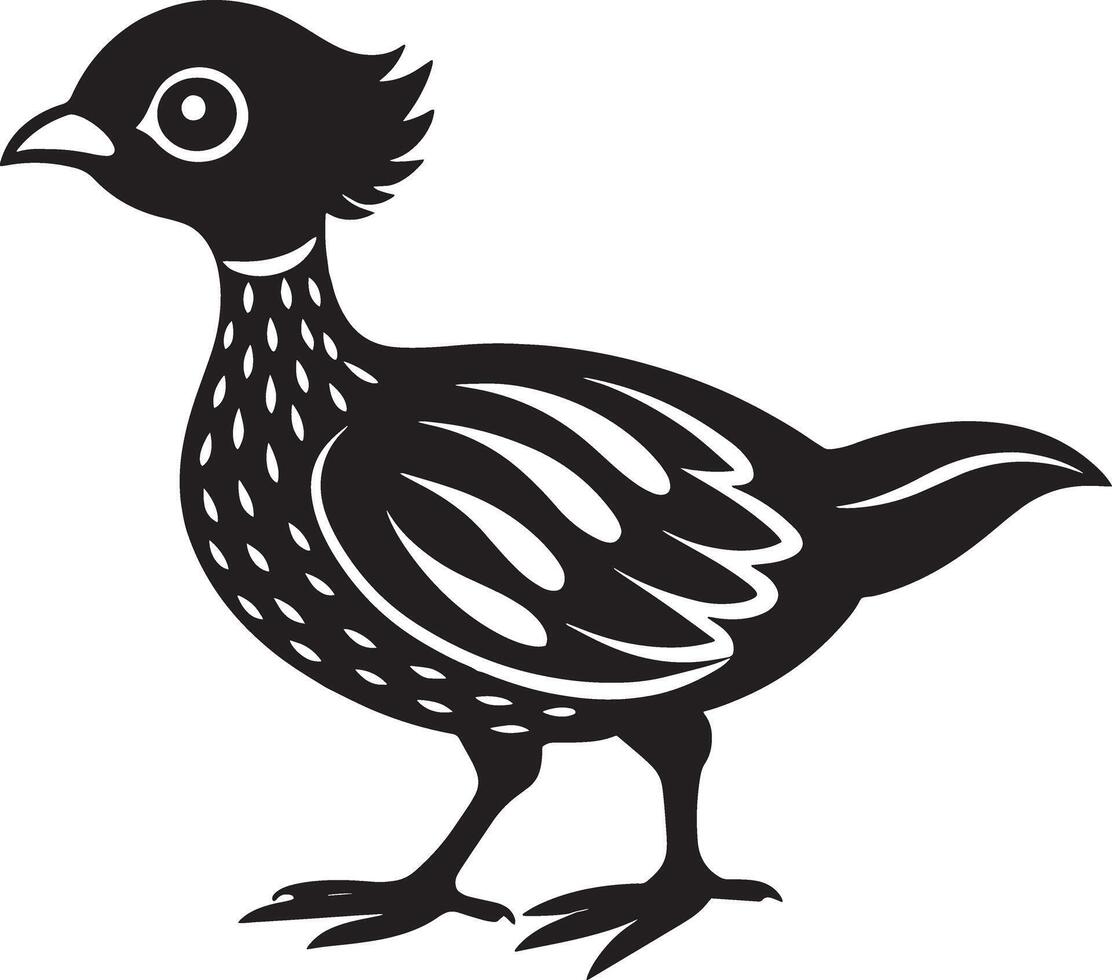 Illustration of a black and white pheasant isolated on white background vector