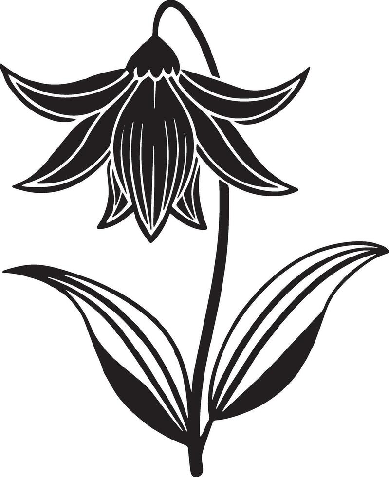 Black and white flower with leaves isolated on white background. illustration. vector