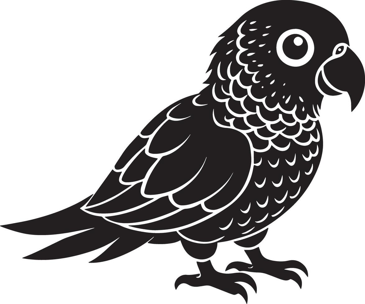 black parrot on white background, illustration, vector