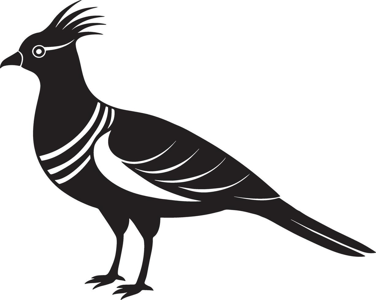 Pheasant bird silhouette isolated on white background. illustration. vector
