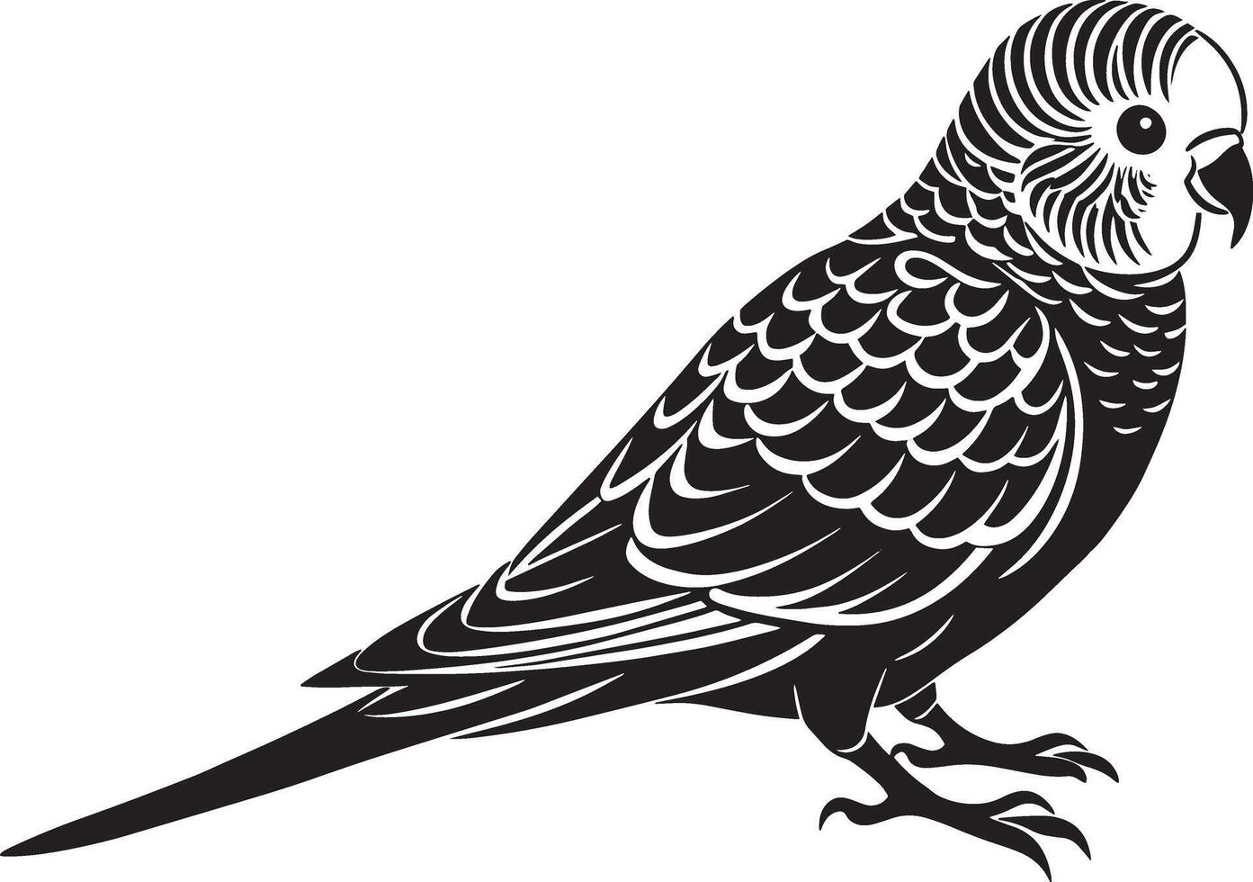 Parrot - Black and White Illustration. vector