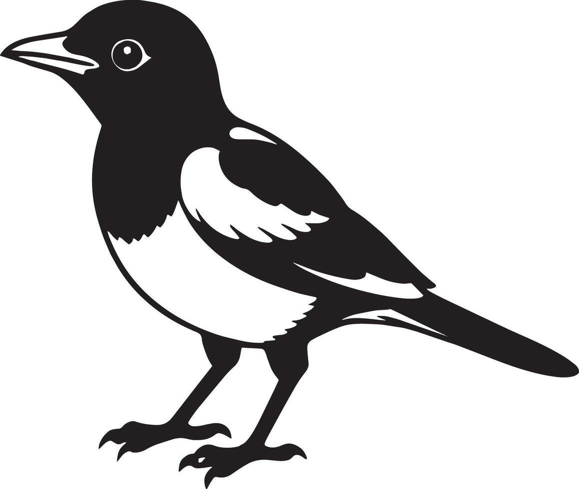 ilustración de un negro y blanco pájaro aislado en un blanco antecedentes vector