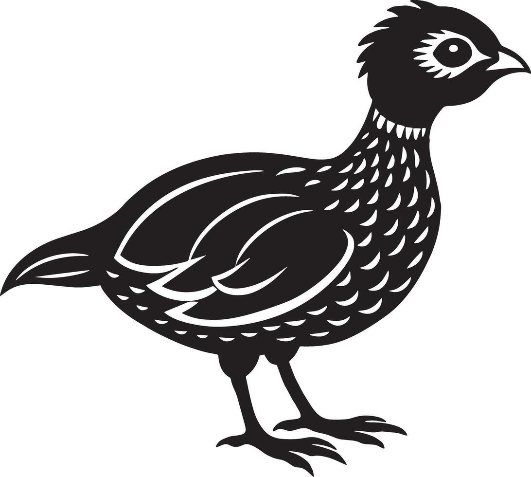 Illustration of a black and white pheasant isolated on white background vector