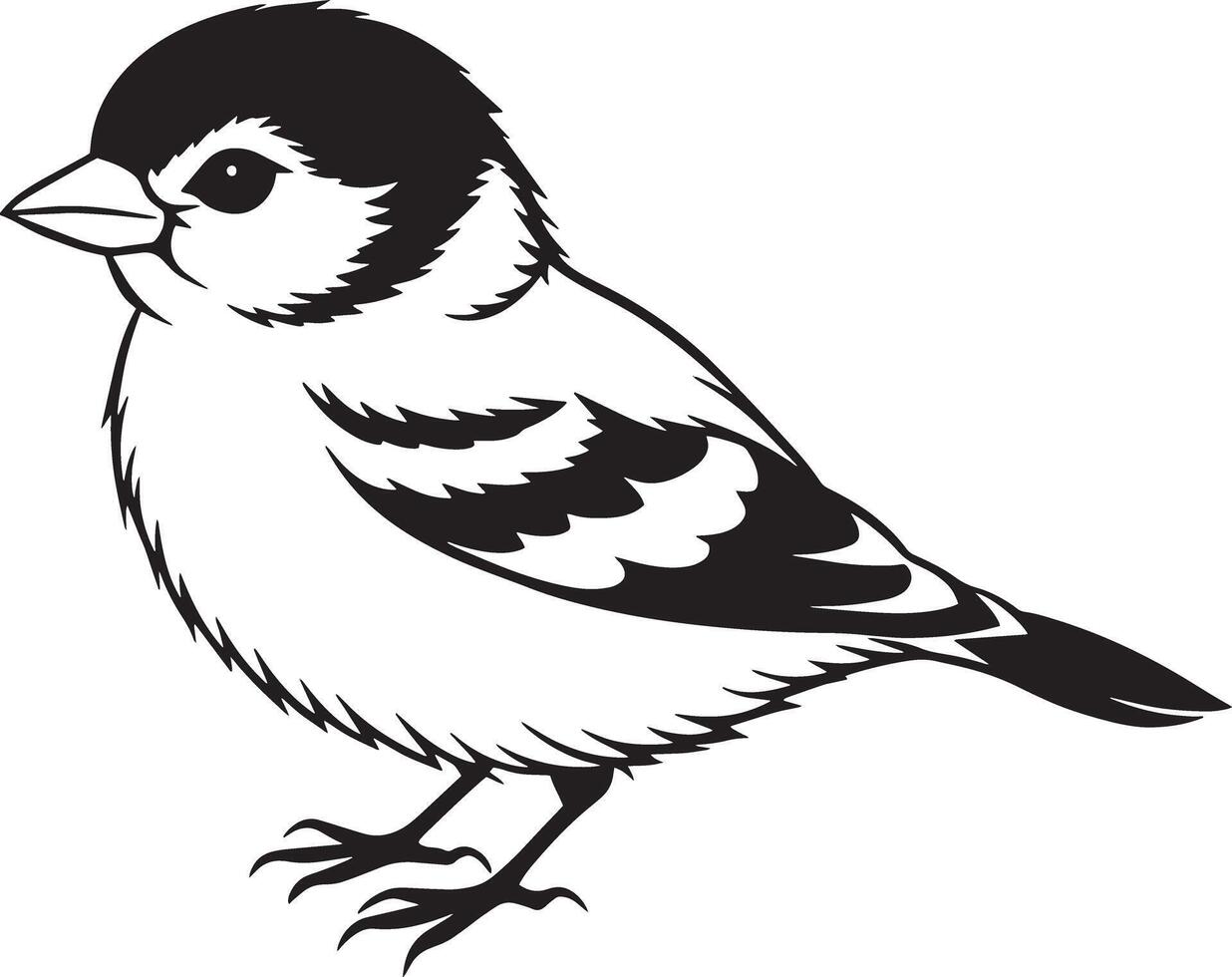 Sparrow - Black and White Illustration, Isolated On White Background vector