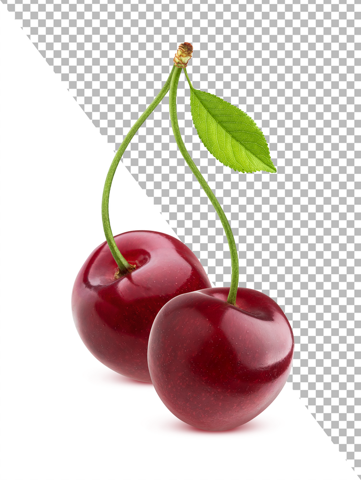 Cherry isolated on white background with clipping path psd