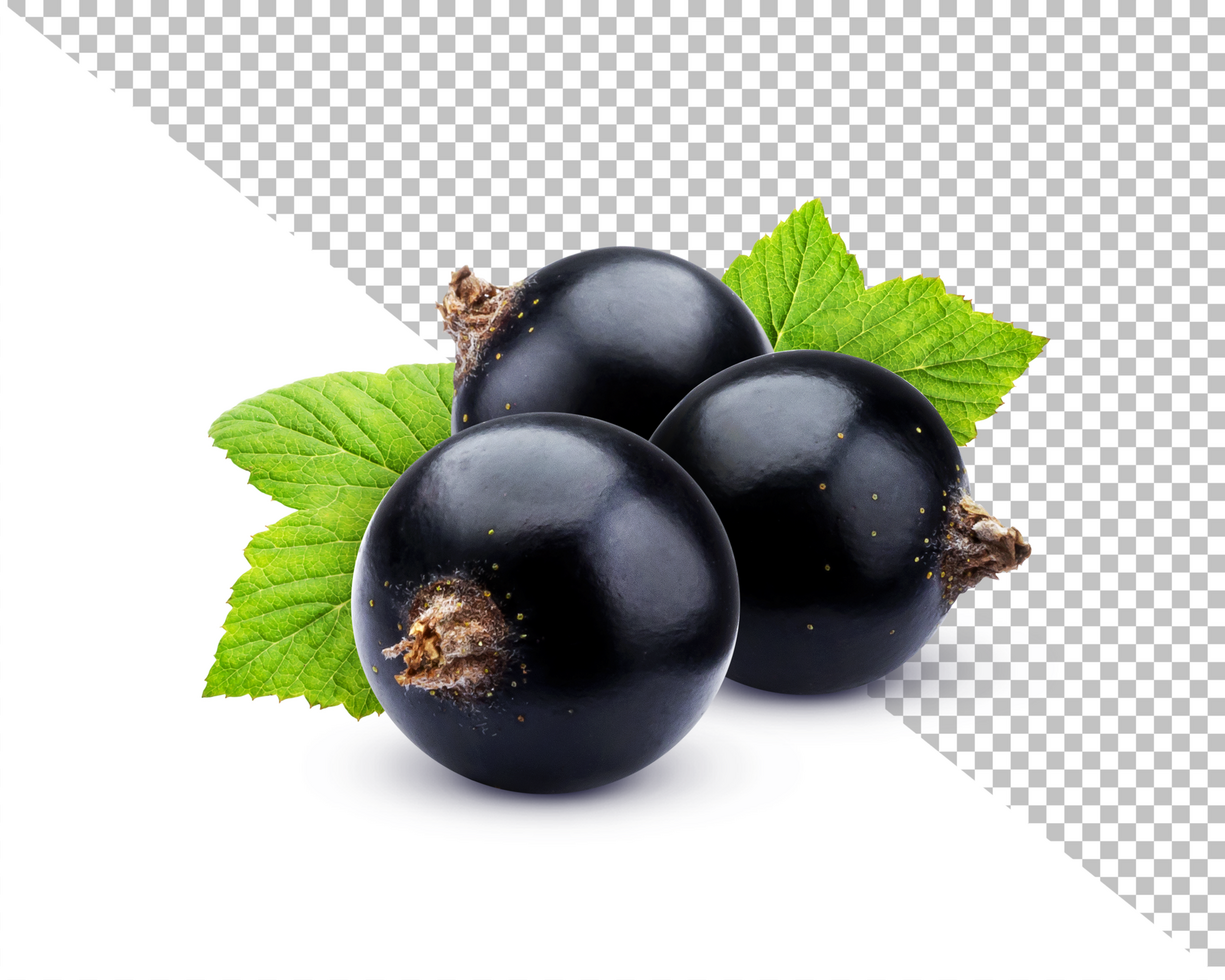 Black currant isolated on white background psd