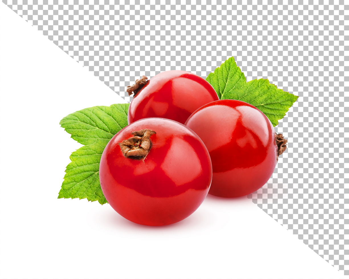 Red currant isolated psd