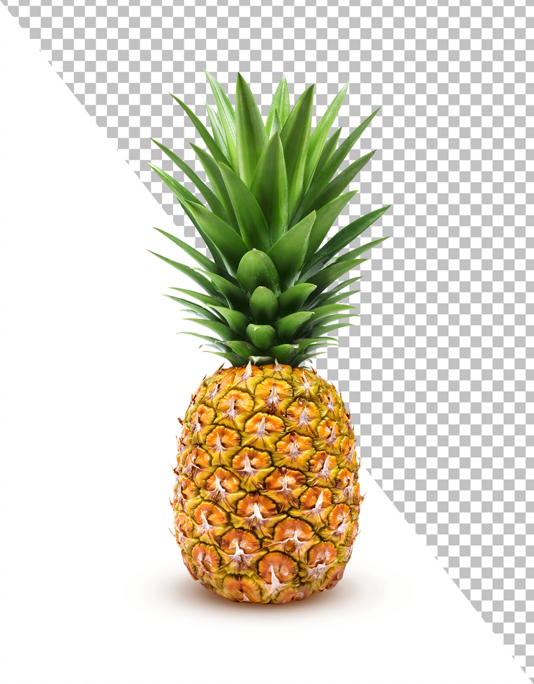 One pineapple fruit isolated on white background with clipping path psd