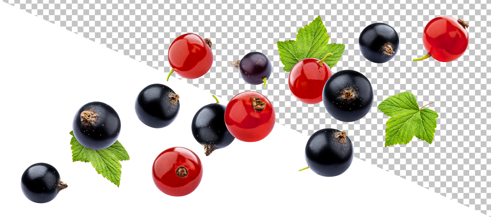 Falling black and red currant isolated on white background psd