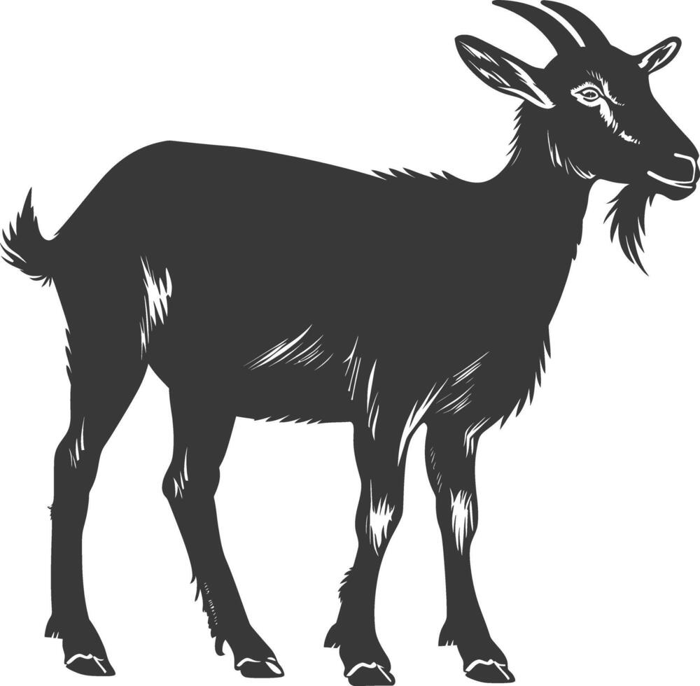 silhouette goat animal black color only full body vector