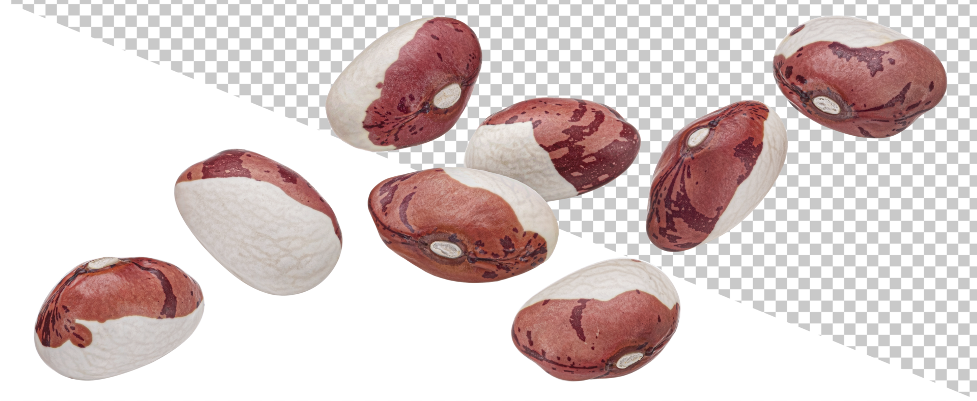 Anasazi beans isolated on white background with clipping path psd