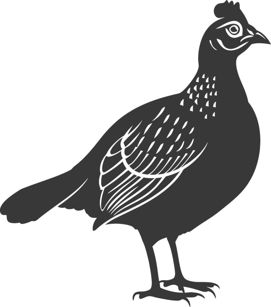 silhouette quail animal black color only full body vector