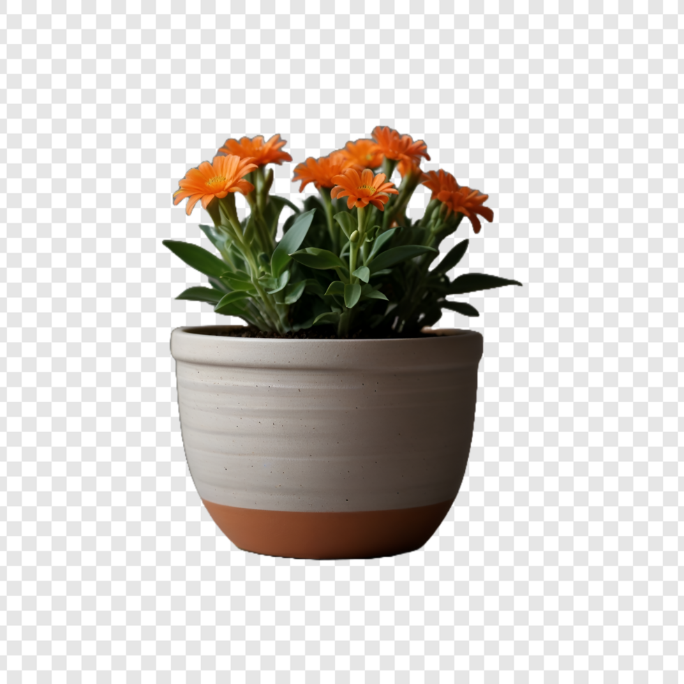 Gardening flower Plant pot on Transparent Background psd