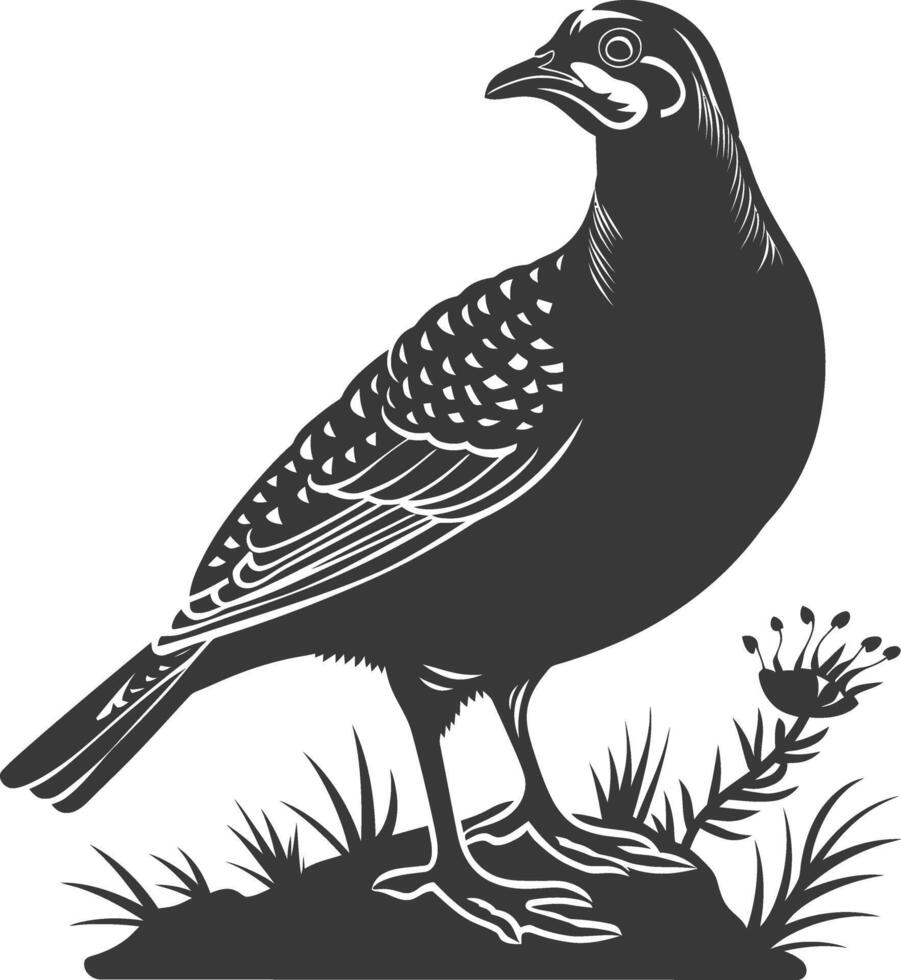 silhouette quail animal black color only full body vector
