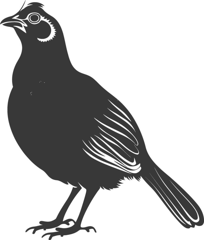 silhouette quail animal black color only full body vector