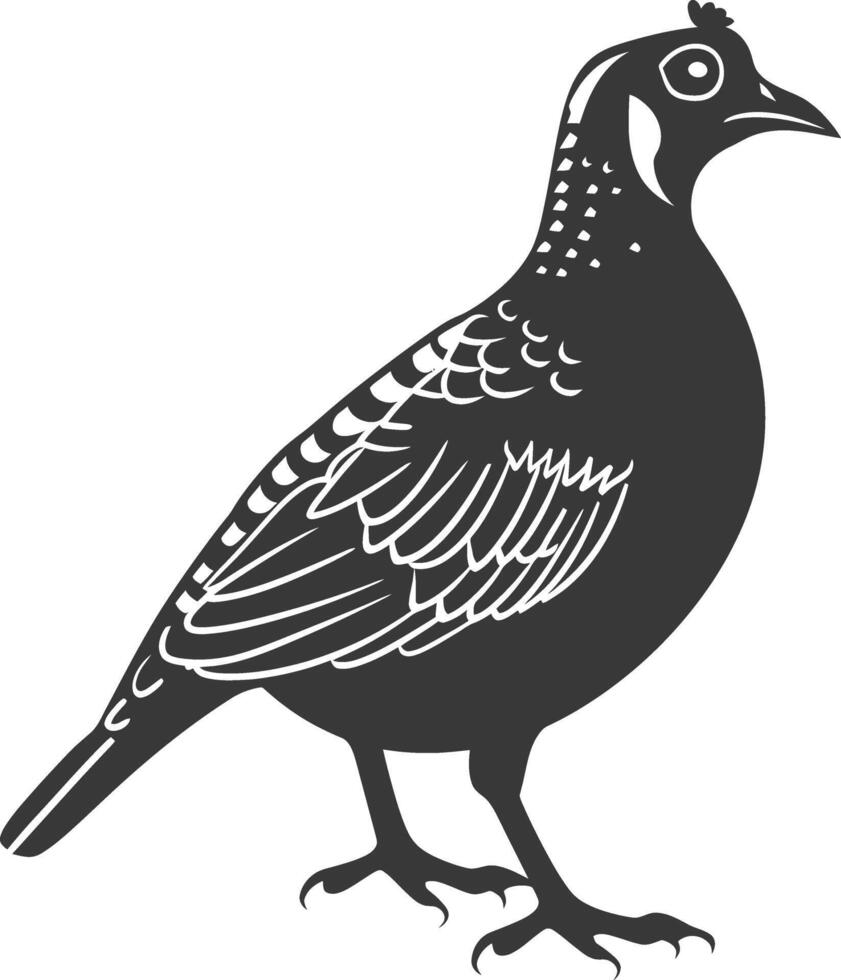 silhouette quail animal black color only full body vector