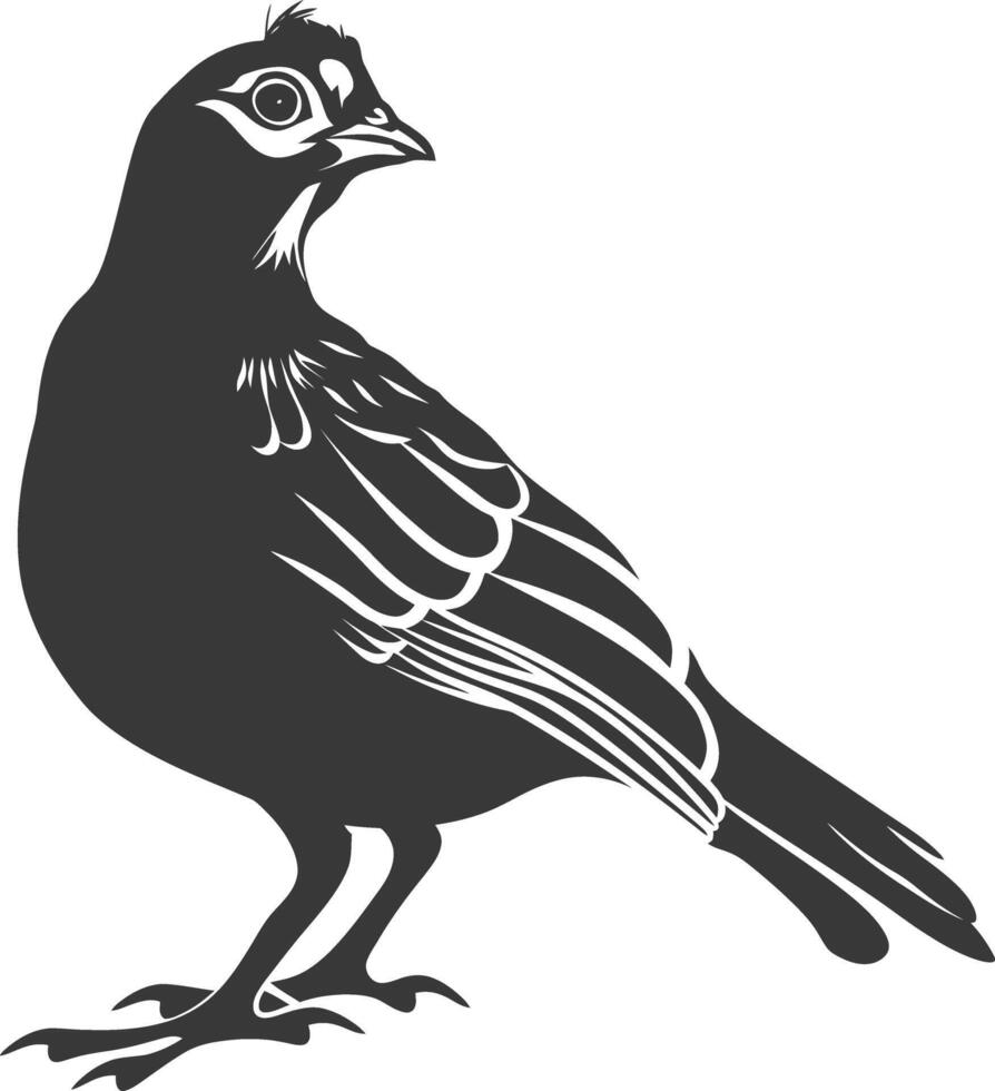 silhouette quail animal black color only full body vector