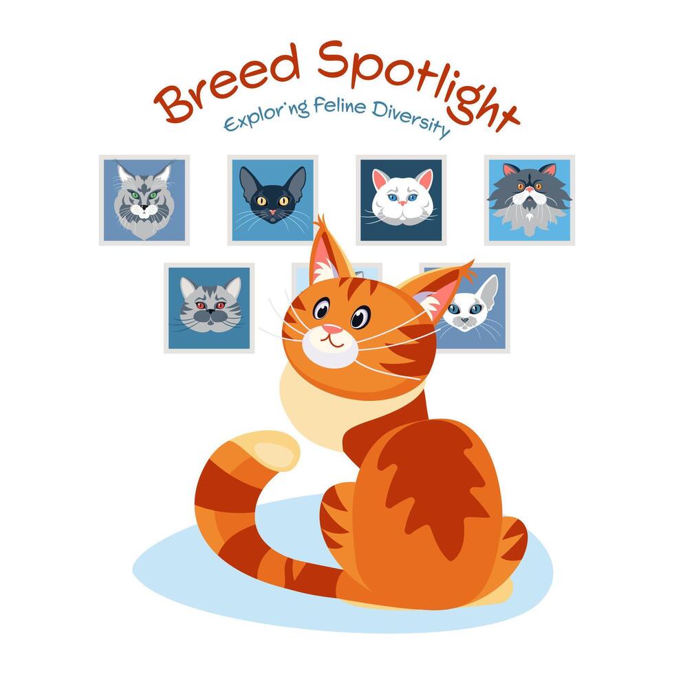 Breed Spotlight Webpage vector