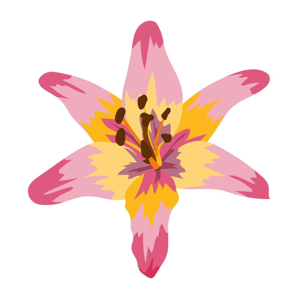resumen lilly flor cabeza en plano diseño. florecer con rosado y naranja pétalos ilustración aislado. vector