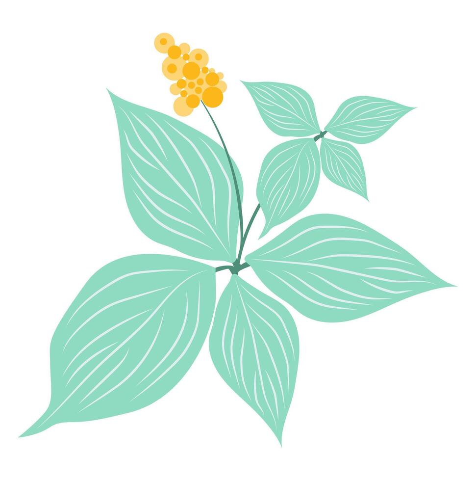 resumen naranja flor con grande hojas en plano diseño. floreciente planta. ilustración aislado. vector