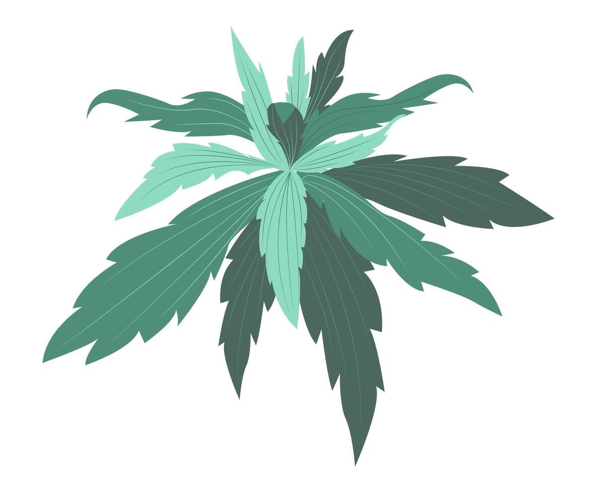 resumen verde hojas arbusto en plano diseño. sencillo tropical bosque arbusto. ilustración aislado. vector